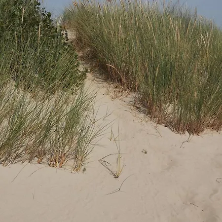 Dune - Le Touquet