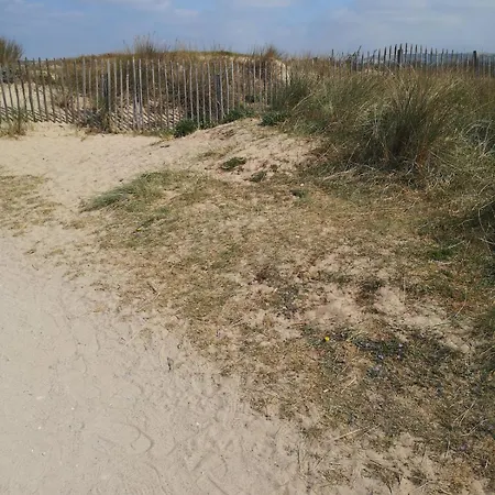 Dune -